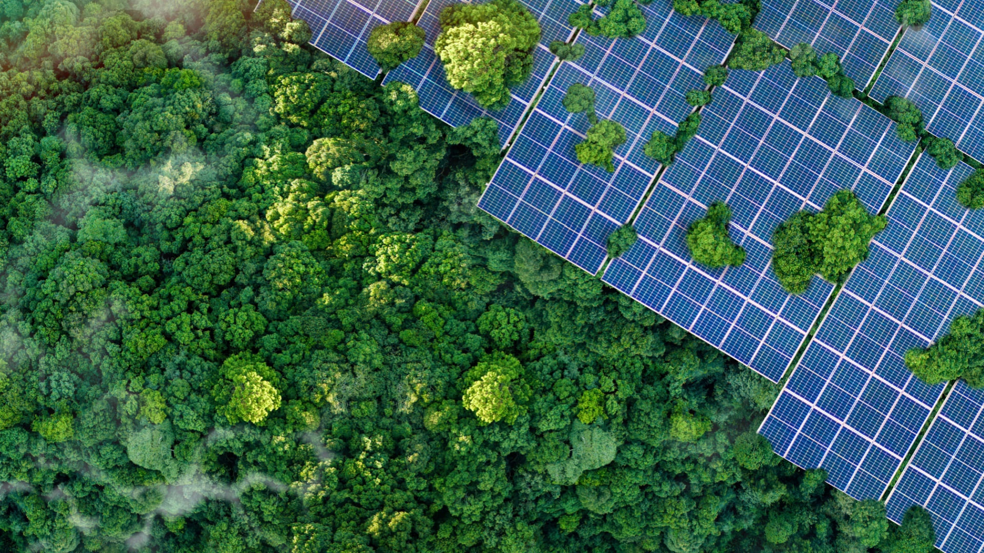 https://www.exav.it/wp-content/uploads/2025/09/industria-sostenibilita-ambiente.jpg